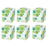 Seventh Generation - Pañuelos Faciales Reciclados De Séptima Generación, 85 Hojas, Paquete De 6