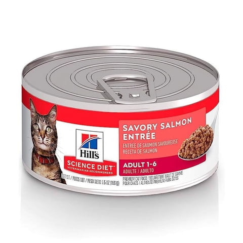 Hills - Science Diet Savory Salmón Entrée Cat Lata 156 Gr