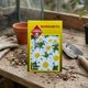 thumbnail image 3 of Semillas Flor Margarita para Huertos y Jardines Las Encinas, 3 of 5