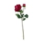 thumbnail image 1 of Peonia Roja Con Boton 57cm, 1 of 3