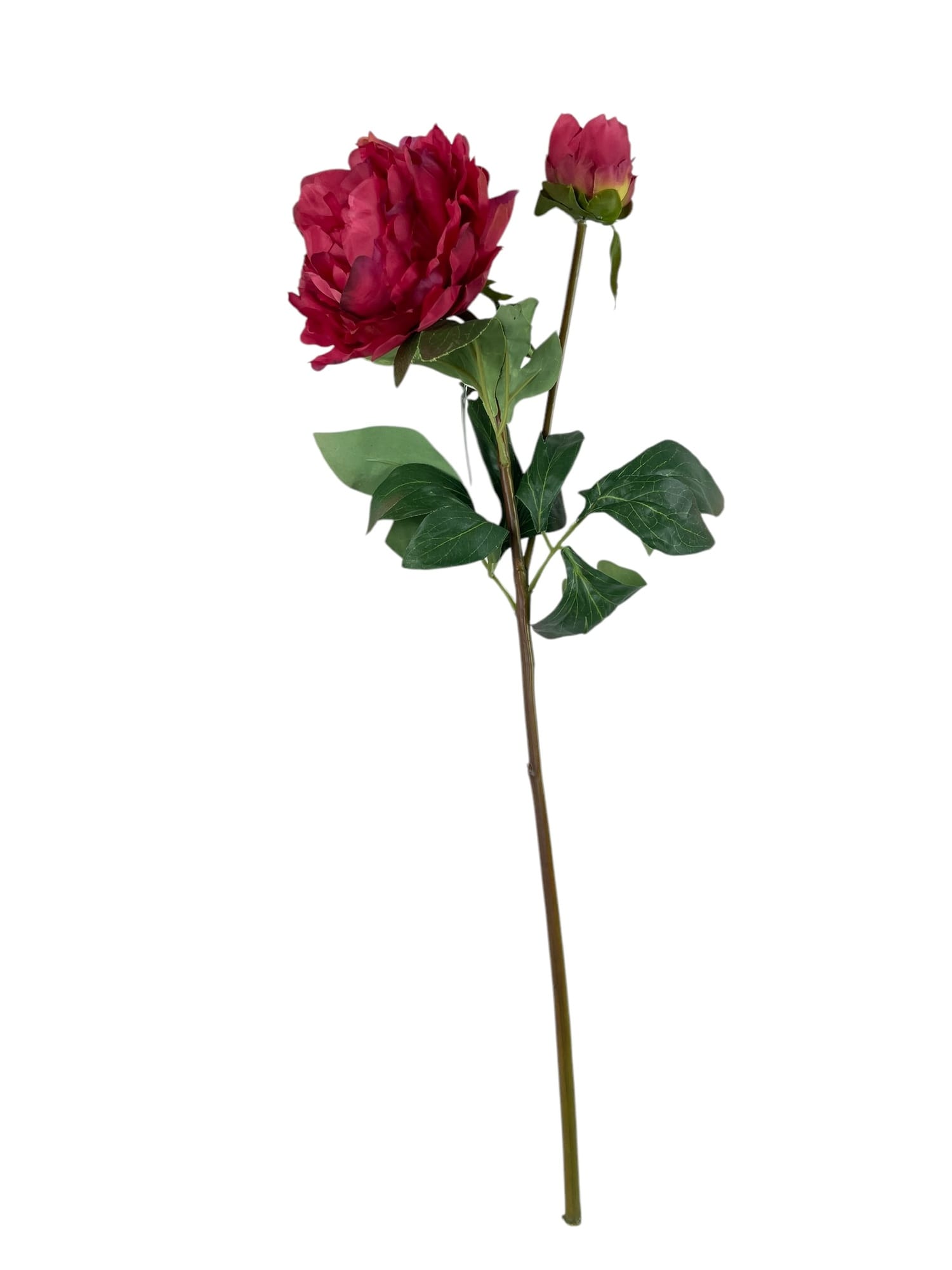 Corel - Peonia Roja Con Boton 57Cm