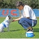 thumbnail image 3 of Collar de Perro con Llavero Universidad Catolica - Pack Talla L, 3 of 9