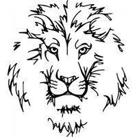 Rienda Libre Graphics - Decomural Lion Head African Animals Ws-35475