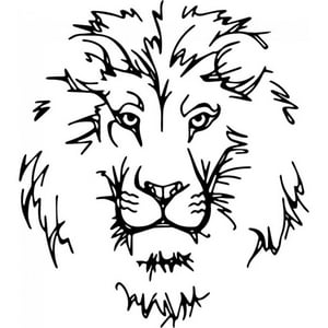 Rienda Libre Graphics - Decomural Lion Head African Animals Ws-35475
