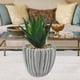 thumbnail image 1 of Planta Decorativa Artificial Aloe Piedra, 1 of 4