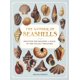 thumbnail image 1 of Wellfleet Press – La maravilla de las conchas marinas, 1 of 6