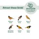 thumbnail image 5 of Comedero Para Aves Citrus Sampler De Doble Cara 0 4 Cuartos, 5 of 9