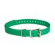 thumbnail image 1 of Correa de collar SportDog impermeable de repuesto de 3/4 pulgadas, color verde, 1 of 7
