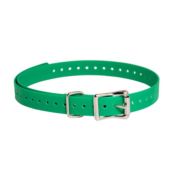 Correa de collar SportDog impermeable de repuesto de 3/4 pulgadas, color verde