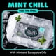 thumbnail image 4 of Flushable Wipes Dude, paquete de 6, 288 toallitas Mint Chill, extra grandes, 4 of 6