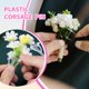 thumbnail image 5 of Pasadores transparentes para boutonniere Alpinleux 20 uds 2,5 cm, 5 of 6