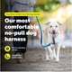 thumbnail image 2 of Arnés Para Perros Easy Walk Comfort No pull X small Negro, 2 of 8