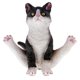 thumbnail image 5 of Resina Adornos de animales Decoraciones para el hogar Yoga Pose Esculturas Gato, 5 of 5