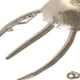 thumbnail image 2 of Figura Decorativa Escarabajo Rinoceronte, 2 of 4