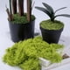 thumbnail image 5 of suxuMhao Musgo Artificial, Musgo Falso para Manualidades y Musgo para Plantas de Interior, 3 Packs de Musgo para Plantas (150G/0.33lb en Total, 50G/0.11lb por Paquete) - Relleno para Macetas para, 5 of 5