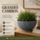 thumbnail image 3 of Macetero Plastico Semi Esfera Premium Diseño a Rayas S azul, 3 of 9