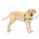 thumbnail image 1 of Arnés para perros PetSafe Easy Walk No-Pull, tamaño grande, color verde manzana y gris, 1 of 6
