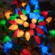 thumbnail image 1 of Luces de cadena AWQ 53 m multicolor 500 LED con enchufe, 1 of 6