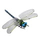 thumbnail image 5 of Escultura modelo de libélula de simulación, juguete coleccionable vívido con cuerda y alfiler, figura de libélula, adorno de libélula para decoración Azul, 5 of 5