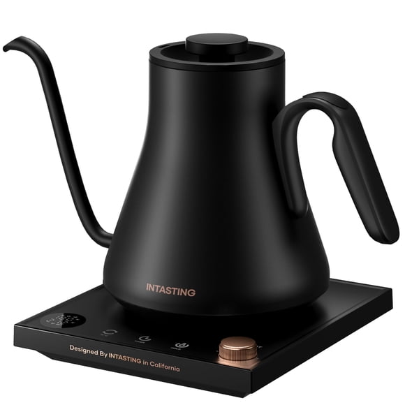 Hervidor eléctrico INTASTING Gooseneck 0.9 L con control de temperatura