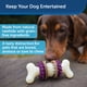 thumbnail image 2 of Juguete para perros PetSafe Busy Buddy Bristle Bone, 2 of 6