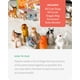 thumbnail image 4 of Juego De Matemáticas Simplyfun Walk The Dogs Para Niños Mayores De 8 Años, 4 of 7