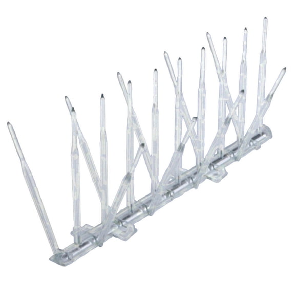 Set Bird Spike Bird B Gone, 1,8 m x 13 cm, transparente