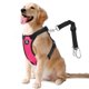 thumbnail image 1 of Cinturón de seguridad para perros VavoPaw, arnés de seguridad para coche, nailon, magenta, XL, 1 of 5