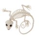 thumbnail image 2 of PVC Animal Esqueleto Huesos Horror Halloween Hogar Casa Encantada Decoración-Gecko, 2 of 6