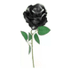 thumbnail image 1 of Rosas negras artificiales 5 uds halloween, 1 of 3