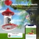 thumbnail image 3 of Comedero Para Colibríes Bf06 Con Cámara Solar 2k Con Ia 600 Ml, 3 of 7