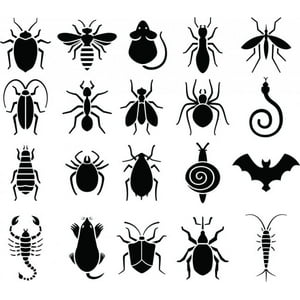 Rienda Libre Graphics - Decomural Insects Pests Spider Bee Ant Set Ws-47145
