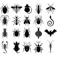 Rienda Libre Graphics - Decomural Insects Pests Spider Bee Ant Set Ws-47145