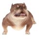 thumbnail image 4 of Figura De Modelo Animal Lindo Figura De Juguete Decoración Del Hogar American Bully Pitbull #B, 4 of 5