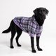 thumbnail image 1 of Sudadera con Capucha para Perro Spark Paws, Suave como Mantequilla, 1 of 6