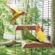 thumbnail image 3 of Percha de madera para pájaros Niteangel 18 cm (2 unidades), 3 of 7