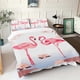 thumbnail image 1 of Flamingo Duvet Cover Cartoon Home Printed Pillowcase Set Adult Bedroom Children Comforter Bedding, 1 of 5