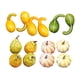 thumbnail image 5 of Calabazas Artificiales De Cosecha, Modelo Vegetal De Halloween, Colores Surtidos Duraderos, Estilo E, 5 of 5