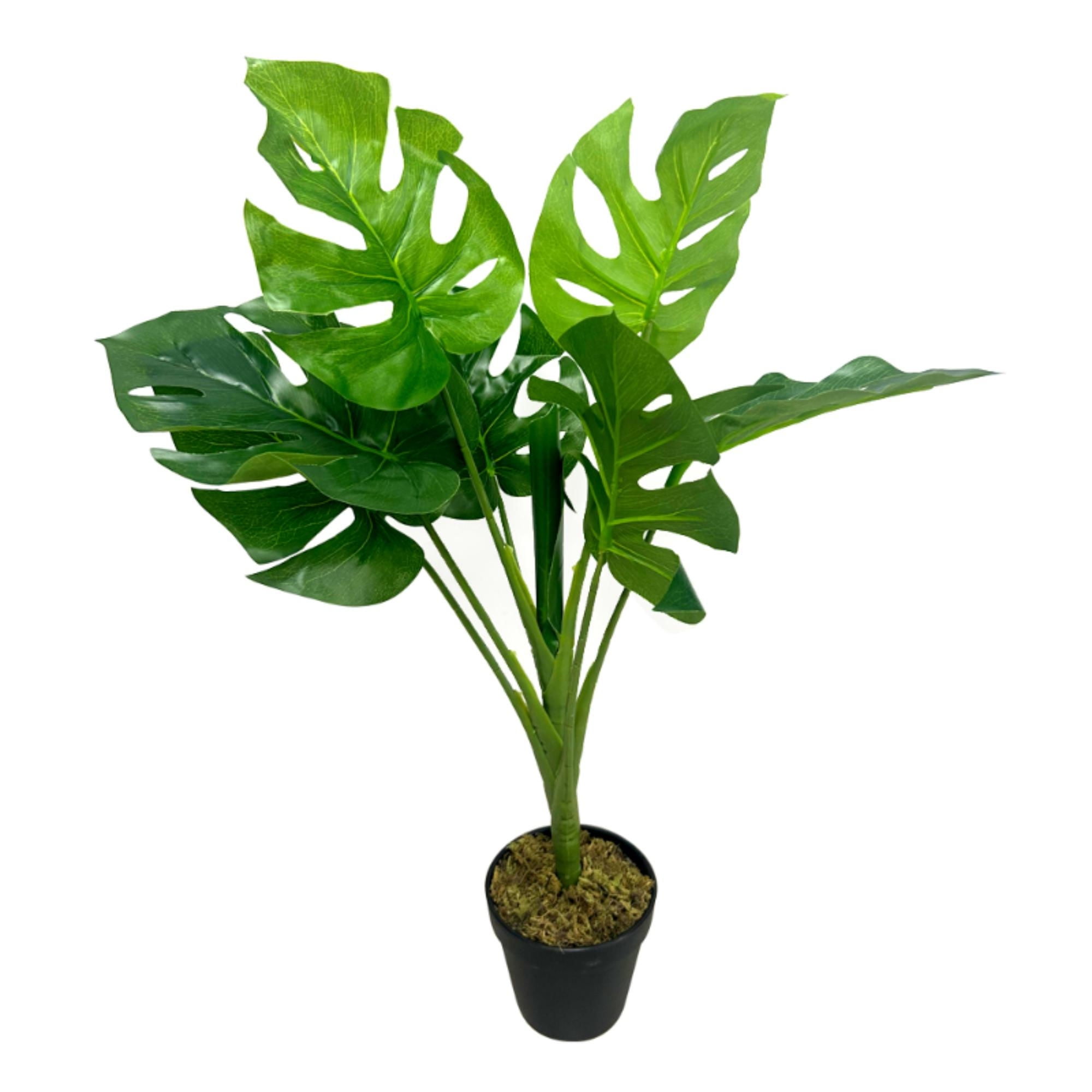 Expert Gardener - Planta Artificial Monstera 60 Cm