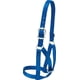 thumbnail image 1 of Arnés para vaca Weaver Ganado 2,5 cm de nylon azul, 1 of 1