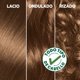 thumbnail image 3 of Coloración Cabello 67 Chocolate, 3 of 7