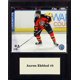 thumbnail image 1 of Placa C&I Collectables NHL Florida Panthers Aaron Ekblad, 1 of 1