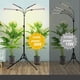 thumbnail image 4 of Grow Light JINHONGTO con soporte y temporizador de 36 W para bonsái, 4 of 6
