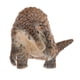 thumbnail image 3 of Figuras De Animales De Simulación Modelo Juguetes Educativos Para Ni?os Regalos Pangolín, 3 of 5
