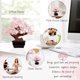 thumbnail image 5 of Crystal Money Tree Parma77 Feng Shui, cuarzo rosa, 18 cm, 5 of 7