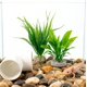 thumbnail image 5 of Set de Tubo de Escondite y Plantas Artificiales para Axolote nsgglecher, 5 of 5