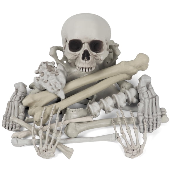 Bolsa decorativa con forma de calavera de esqueleto para Halloween, tamaño natural