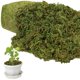 thumbnail image 1 of Musgo Artificial YUNVI 500 g Verde para Manualidades, 1 of 7