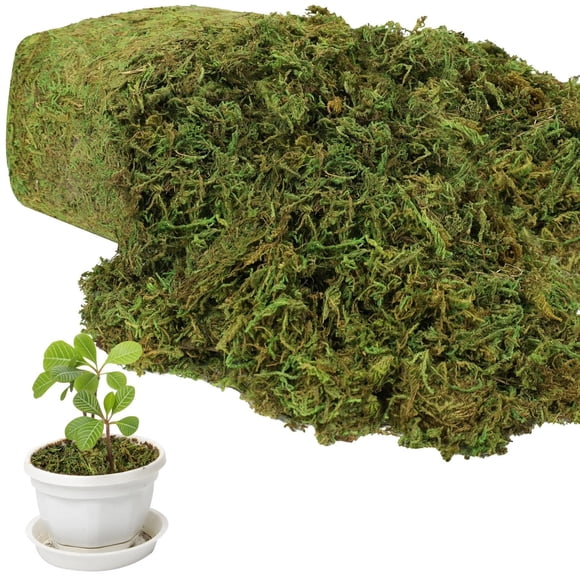 Musgo Artificial YUNVI 500 g Verde para Manualidades