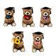 thumbnail image 1 of Oso de Peluche de Graduación con Sombrero y Flores, Lindo Oso Doctor de Peluche Regalo de Graduación, 1 of 6